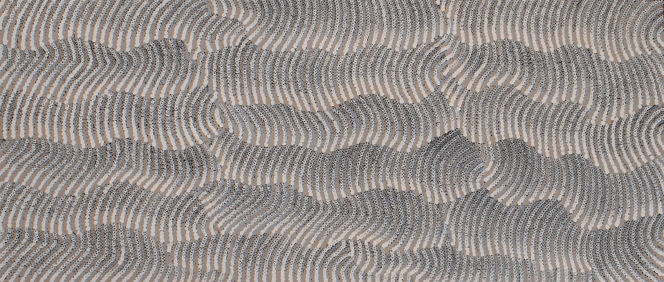 Tali (Sand Dunes) - MHNFD156/0325 by Maureen Hudson Nampitjinpa