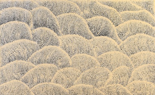 Tali (Sand Dunes) - MHNAR202508