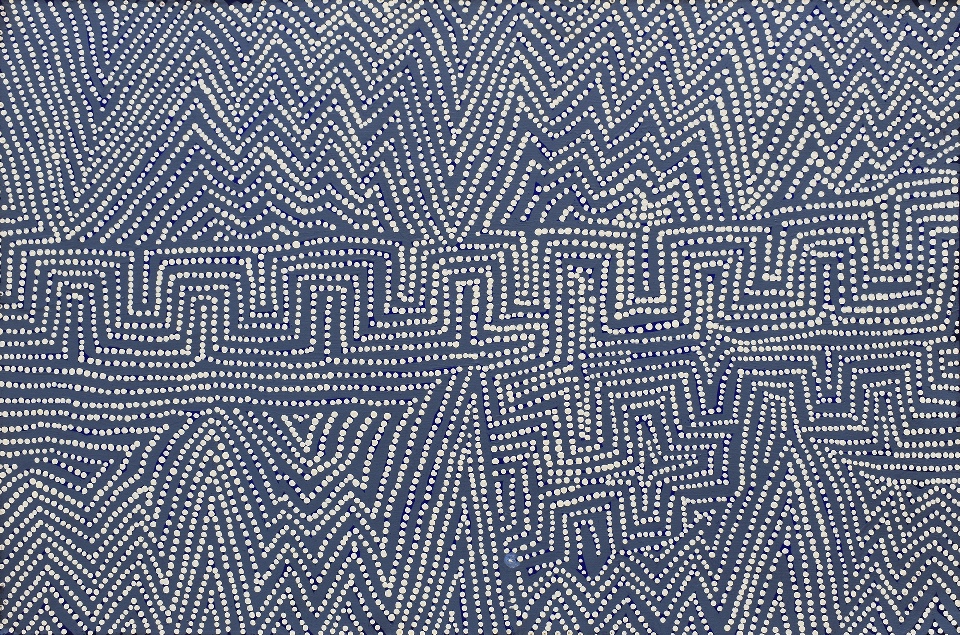 Yankirri Jukurrpa (Emu Dreaming) - Ngarlikirlangu - MJGWU495/23ny by Michael Jangala Gallagher