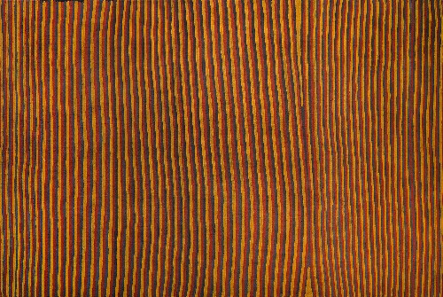 Dingo Dreaming - MICAD3932