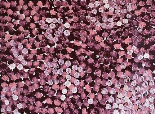 Awelye Atnwengerrp - MOLS968