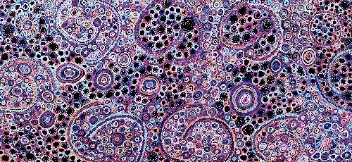 Mina Mina Jukurrpa (Mina Mina Dreaming) - Ngalyipi - PGAWU2125/17ny