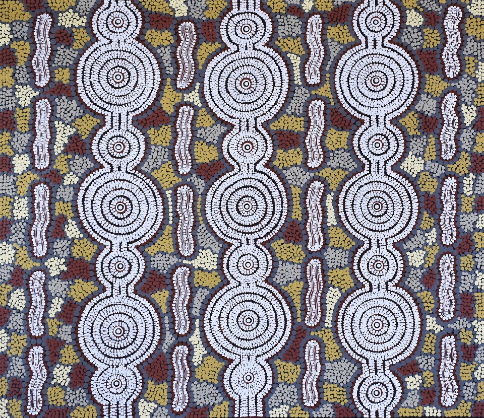 Caterpillar Dreaming - PMPG0183 by Peter Mbitjana Palmer