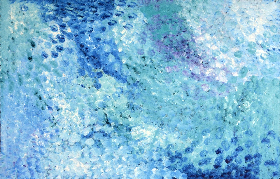 Bush Plum - Collaborative - PNGG0058 by Polly Ngale