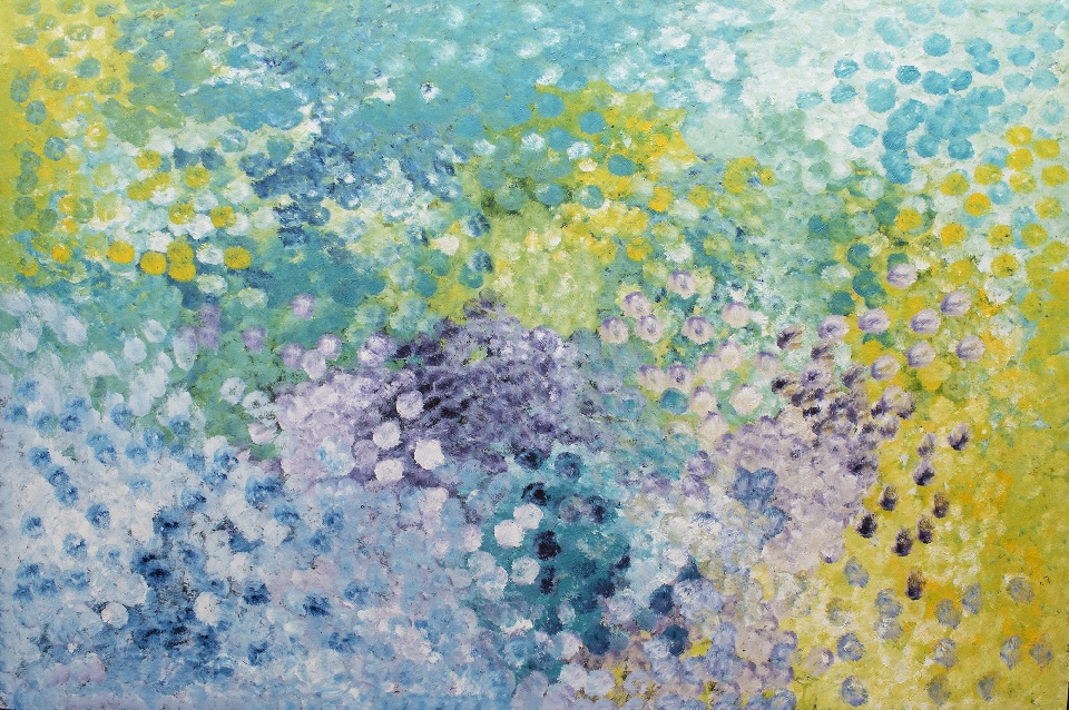Bush Plum - PNGAR202037 by Polly Ngale