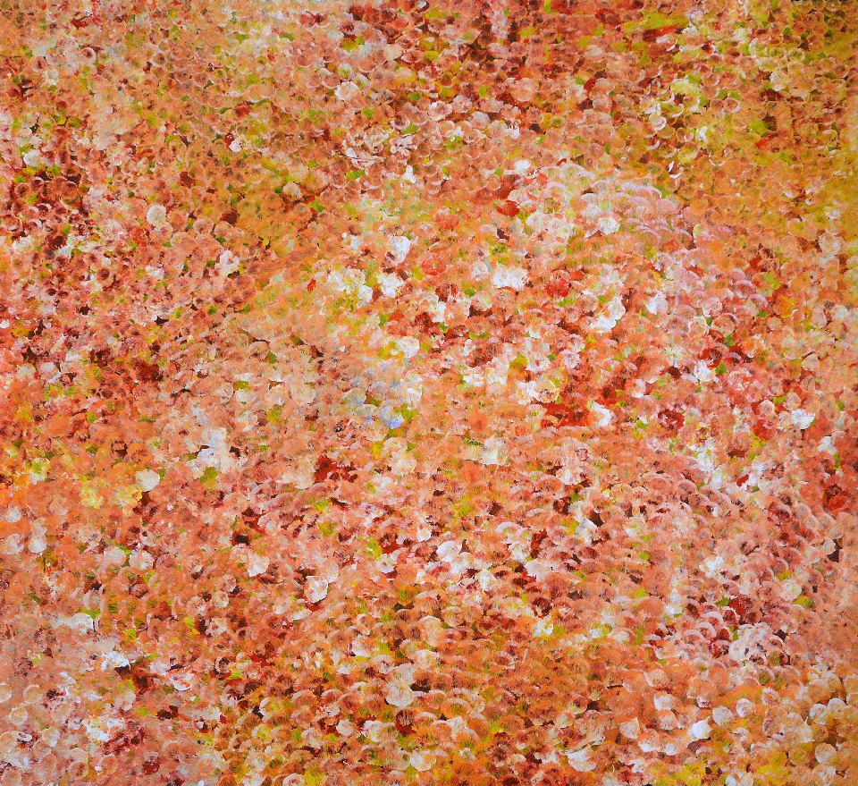 Bush Plum - PNGG0013 by Polly Ngale Collaborative
