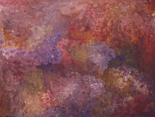 Bush Plum - PNGG0126