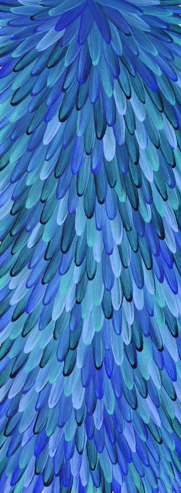 Emu Feathers - RWJG0054 by Raymond Walters Penangke