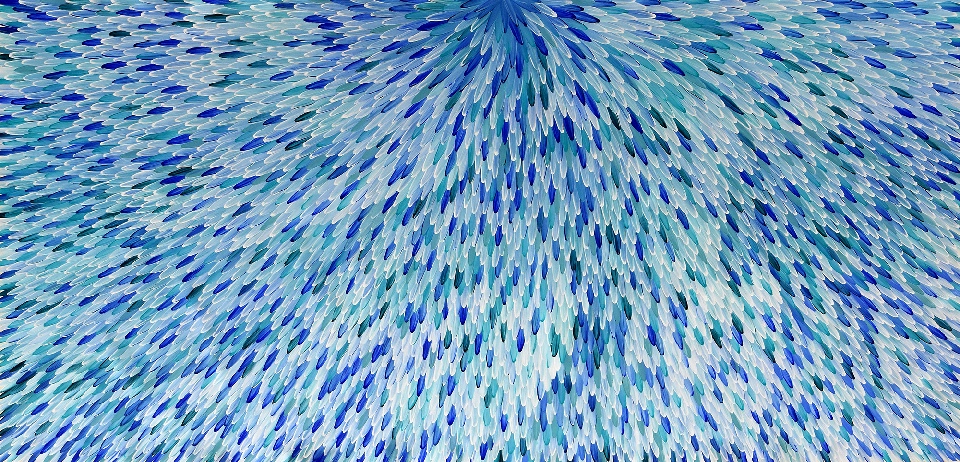 Emu Feathers - RWJG0076A by Raymond Walters Penangke