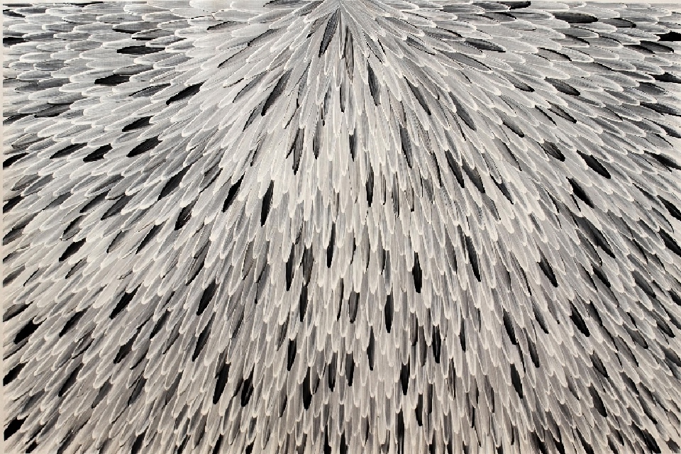 Emu Feathers - RWJG0089 by Raymond Walters Penangke