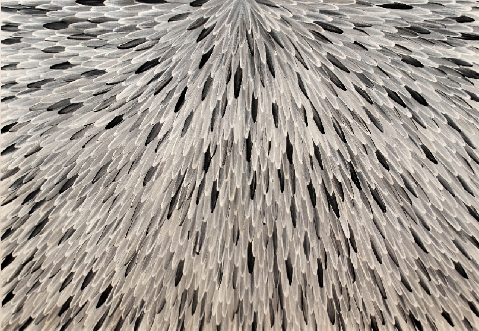 Emu Feathers - RWJG0090 by Raymond Walters Penangke