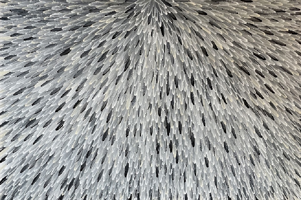 Emu Feathers - RWJG0082 by Raymond Walters Penangke