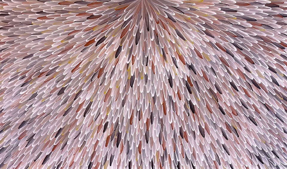 Emu Feathers - RWJG0093 by Raymond Walters Penangke