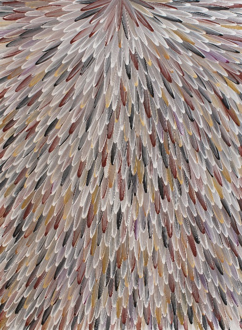 Emu Feathers - RWJG0099