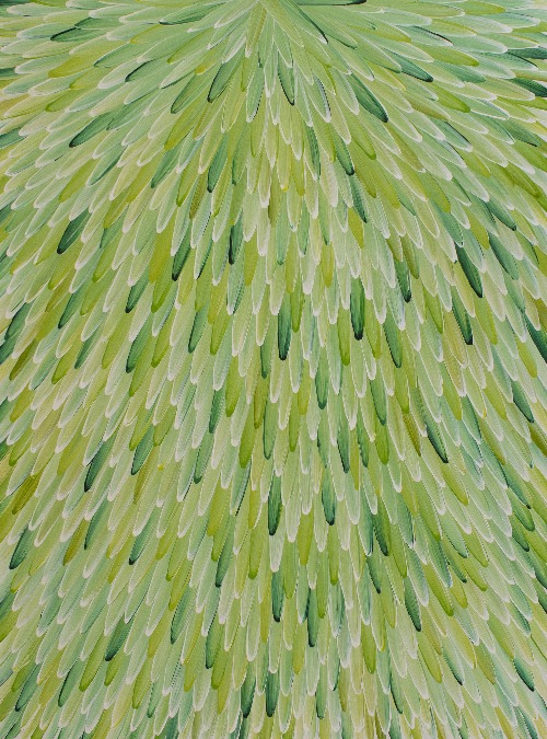 Emu Feathers - RWJG0105
