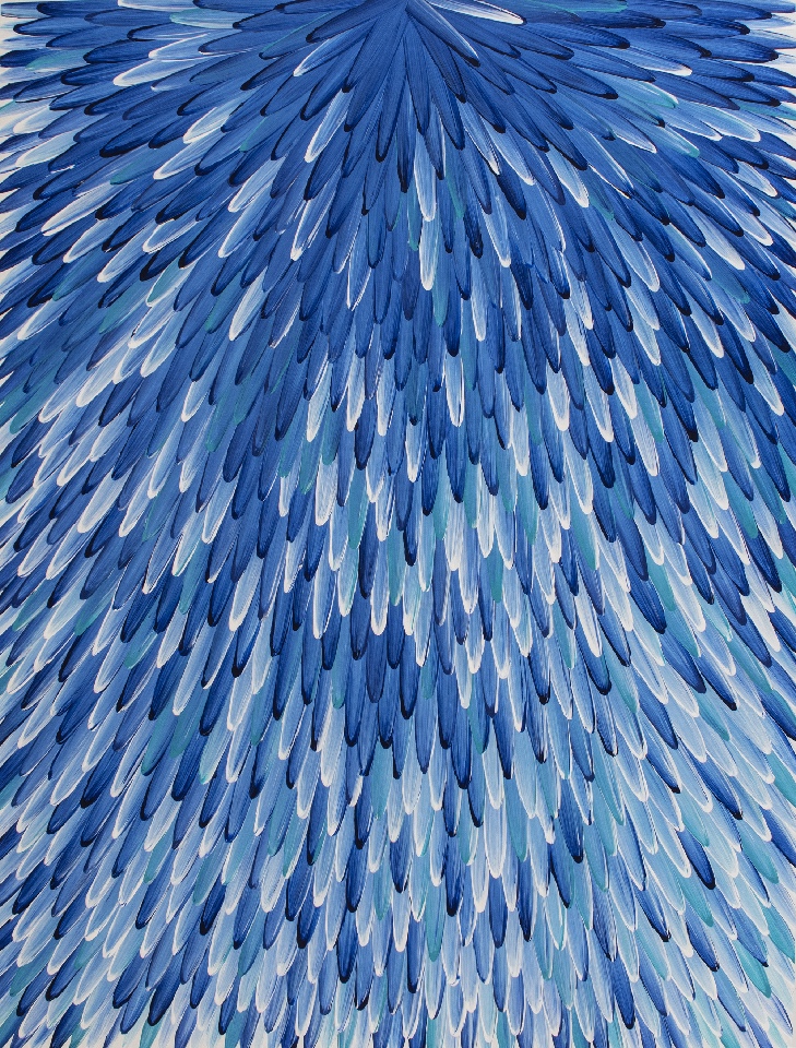 Emu Feathers - RWJG0108 by Raymond Walters Penangke