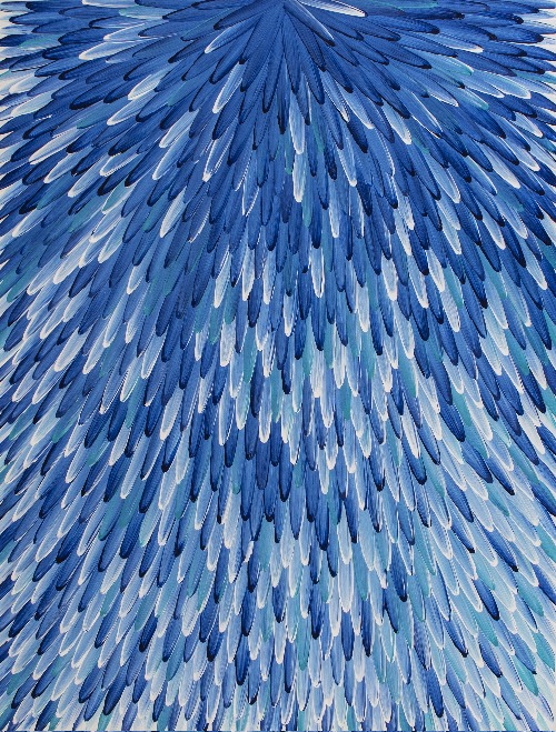 Emu Feathers - RWJG0108