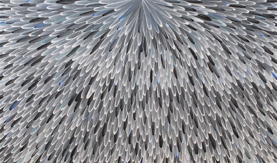 Emu Feathers - RWJG0109 by Raymond Walters Penangke