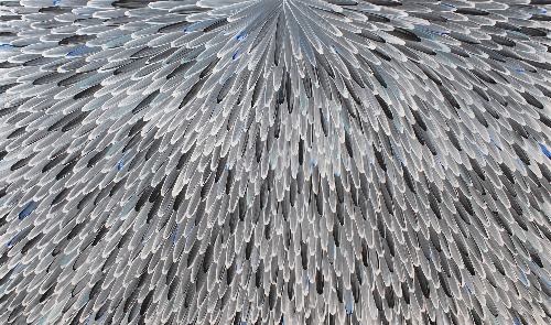 Emu Feathers - RWJG0109