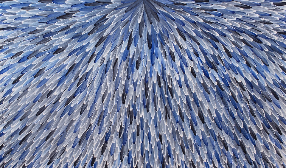 Emu Feathers - RWJG0112 by Raymond Walters Penangke