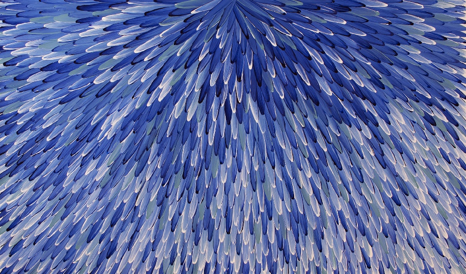 Emu Feathers - RWJG0114 by Raymond Walters Penangke