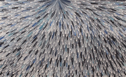 Emu Feathers - RWJG0116