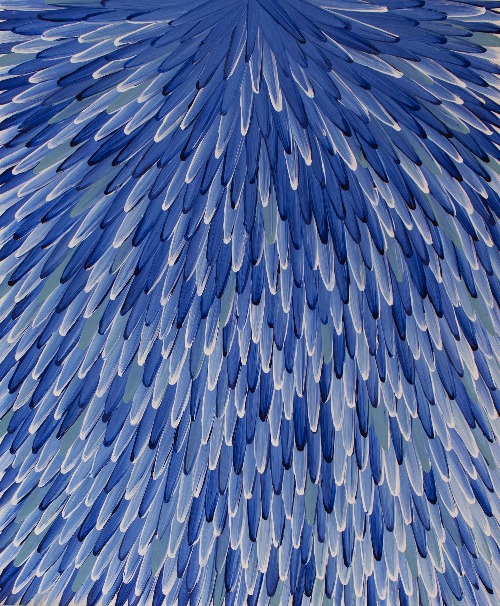 Emu Feathers - RWJG0120