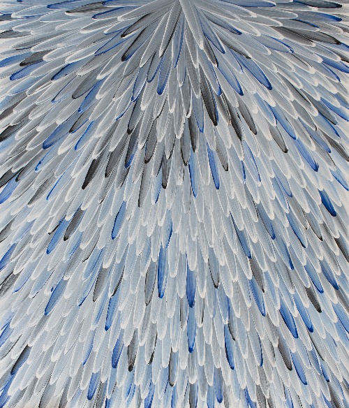 Emu Feathers - RWJG0121