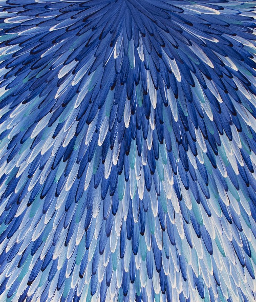 Emu Feathers - RWJG0123