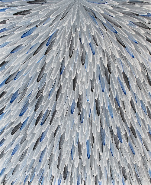 Emu Feathers - RWJG0124