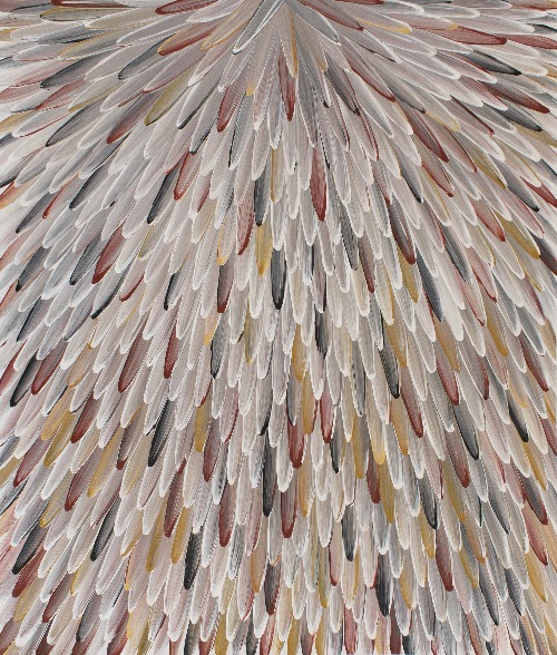 Emu Feathers - RWJG0126
