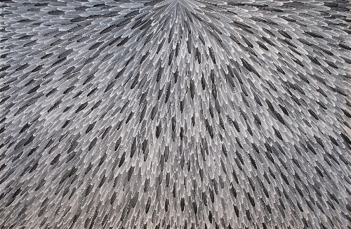 Emu Feathers - RWJG0127