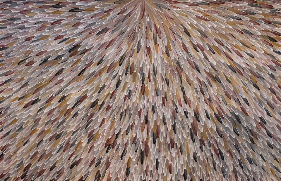 Emu Feathers - RWJG0129 by Raymond Walters Penangke