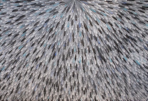 Emu Feathers - RWJG0131