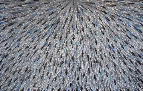 Emu Feathers - RWJG0134
