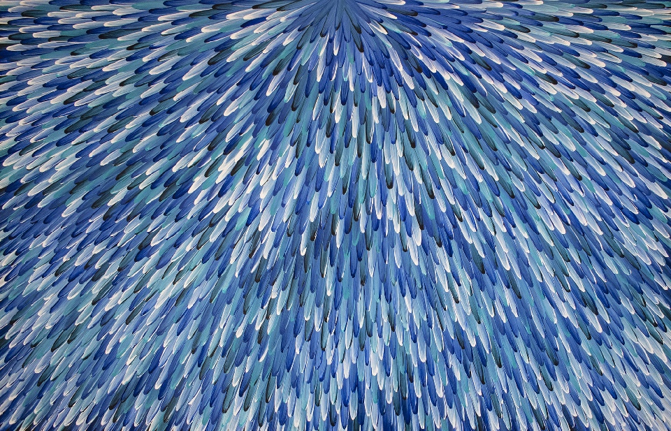 Emu Feathers - RWJG0136 by Raymond Walters Penangke