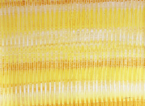 Yellow Bamboo to Make Fishing Spear - RNALR21-168