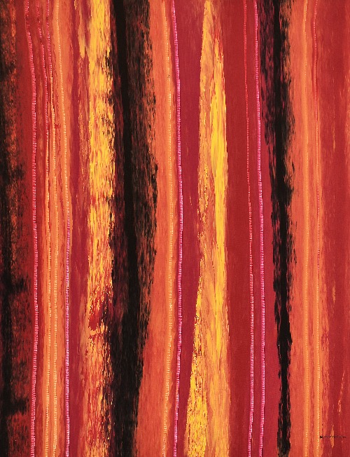 Bush Tracks After Fire Season - RNAG22-297
