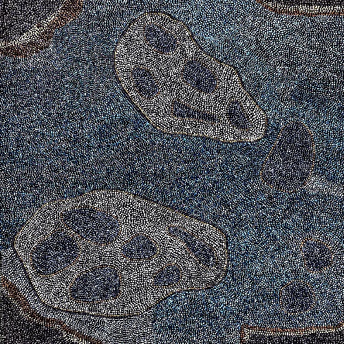 Mud Mussels - RMMG0066