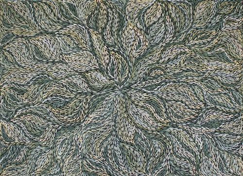 Bush Yam Leaves - RPEJ0006