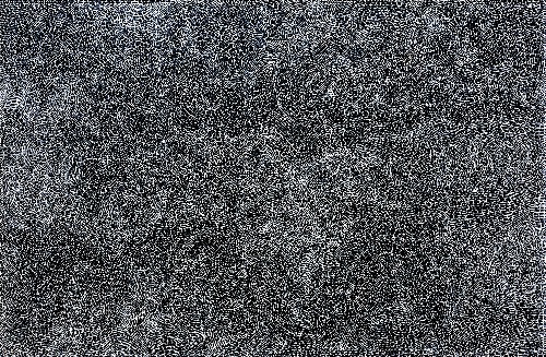 Ngapa Jukurrpa (Water Dreaming) - Pirlinyarnu - SNRWU3596/17