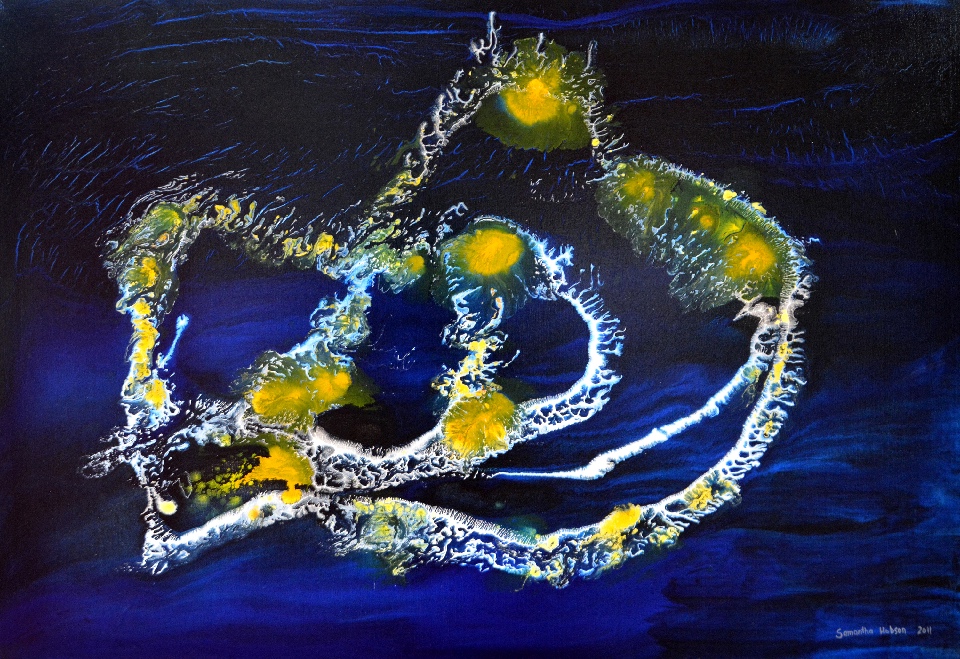 Reef At Night - SMHC20110314 by Samantha Hobson