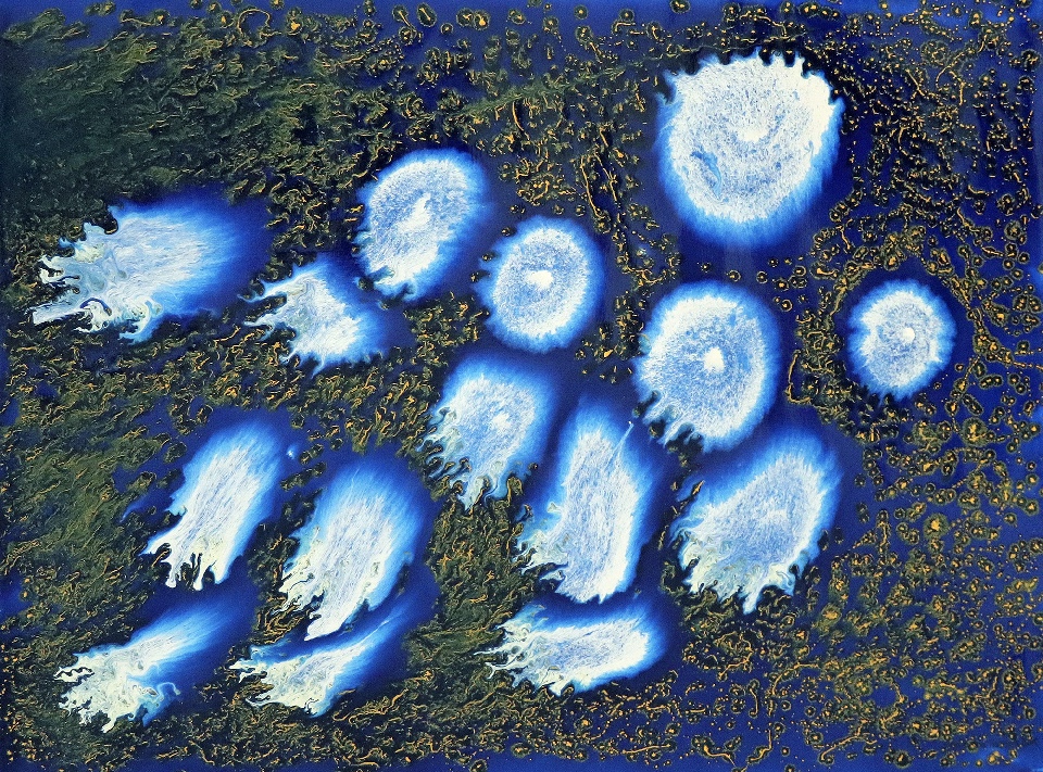 Skull Reef - SAHLR18-127 by Samantha Hobson