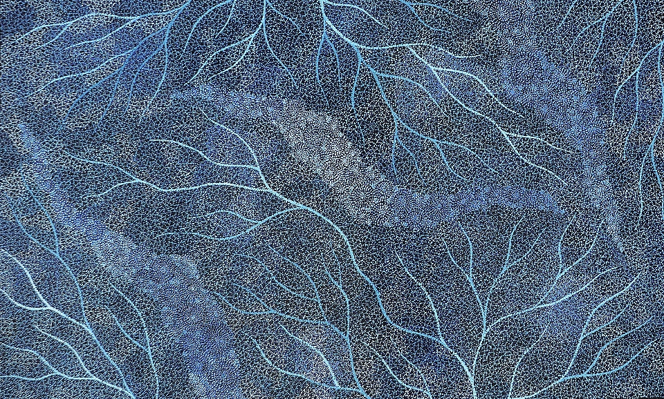 Ancestors - Flood Plains Lake Eyre - SKIG0535 by Sarrita King