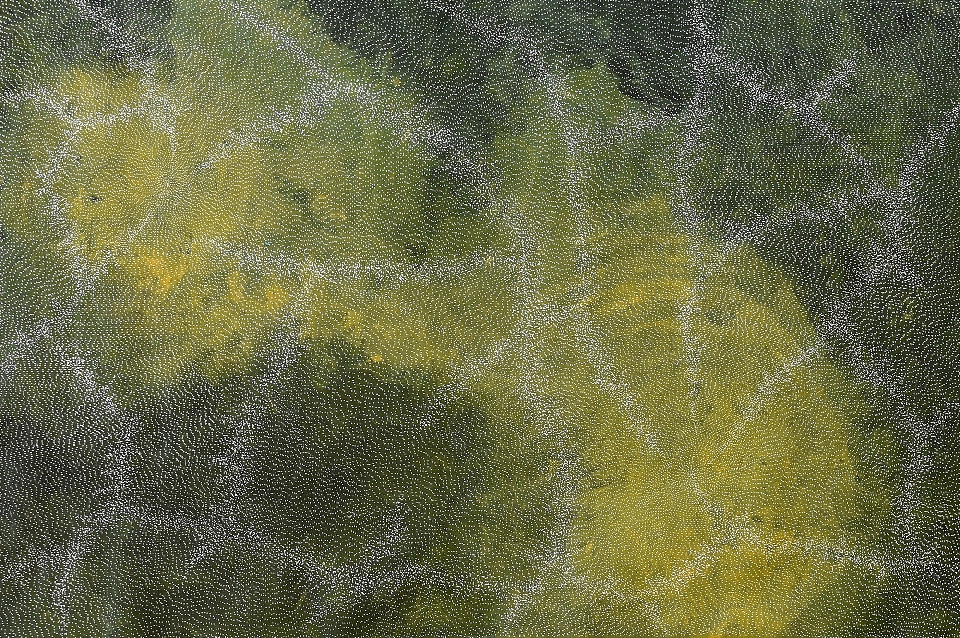 Earth Elements - SKIG0583 by Sarrita King