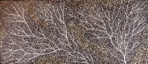 Ancestors - Wet Season Lake Eyre - SKIG0635