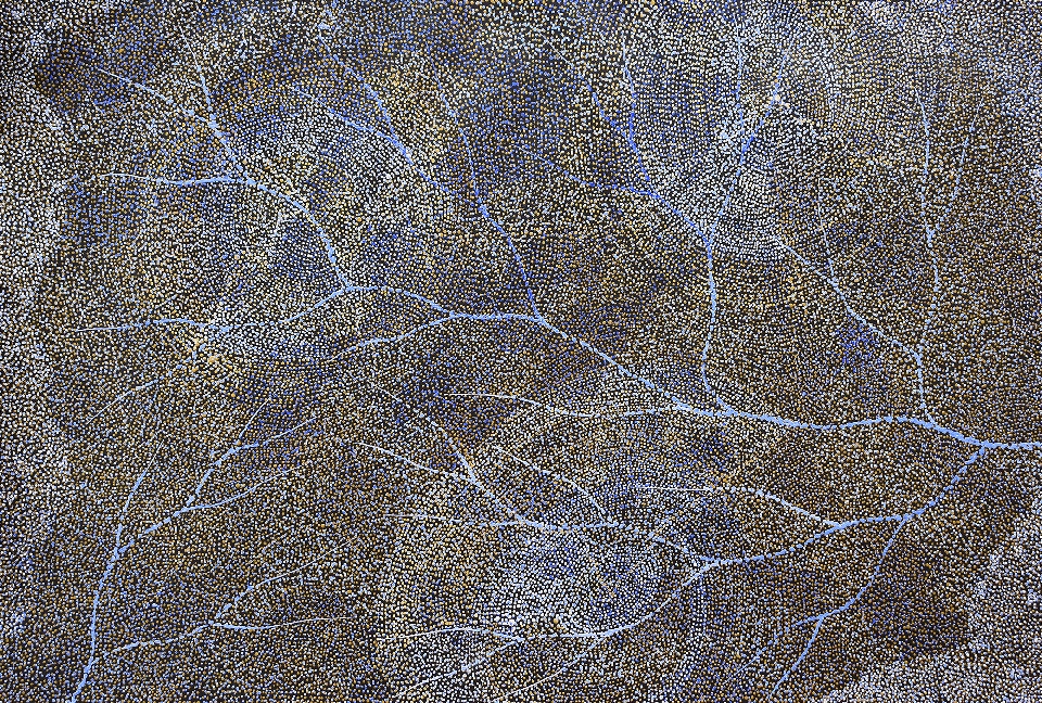 Ancestors - Wet Season Lake Eyre - SKIG0742 by Sarrita King