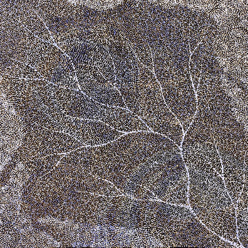 Ancestors - Wet Season Lake Eyre - SKIG0786