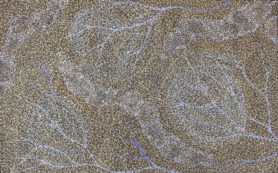 Ancestors - Wet Season Lake Eyre - SKIG0892 by Sarrita King