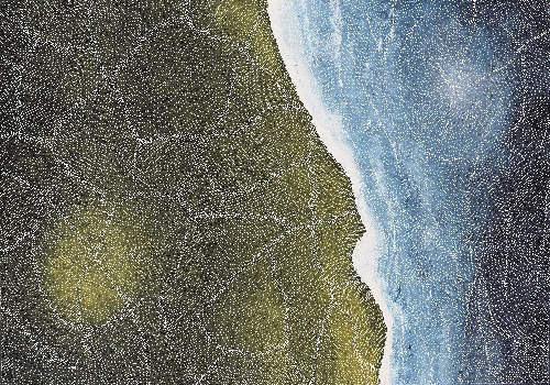 Earth Elements - SKIG0824